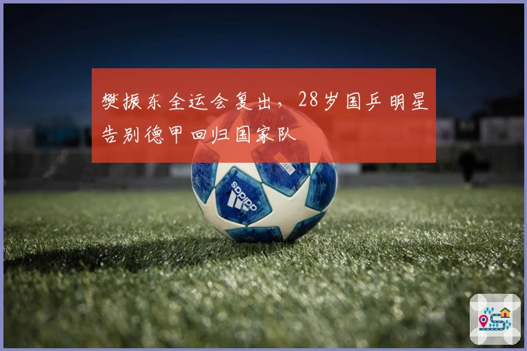 樊振东全运会复出，28岁国乒明星告别德甲回归国家队