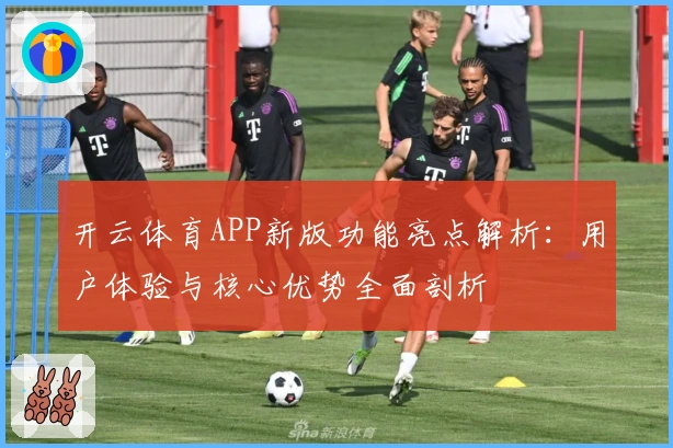开云体育APP新版功能亮点解析：用户体验与核心优势全面剖析